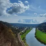Froschkoenig Mit Teichblick