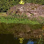 Froschkoenig Mit Teichblick 公寓 *