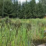 Froschkoenig Mit Teichblick *