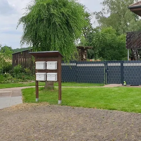 Froschkönig Mit Teichblick *