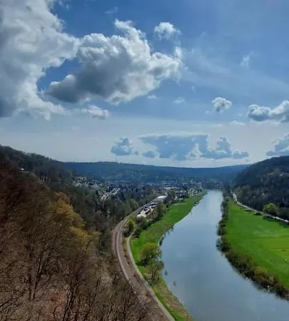Froschkönig Mit Teichblick