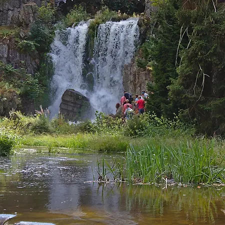 Froschkönig Mit Teichblick Apartment Trendelburg