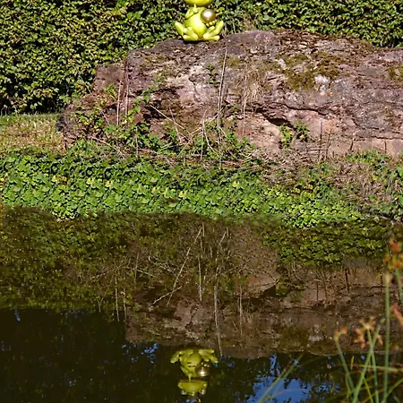 Froschkoenig Mit Teichblick Apartament *