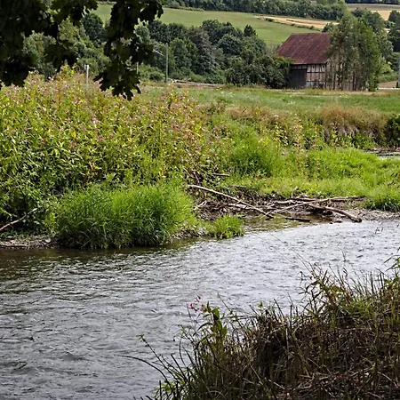 Apartment Froschkönig Mit Teichblick