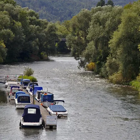 Froschkönig Mit Teichblick Apartment