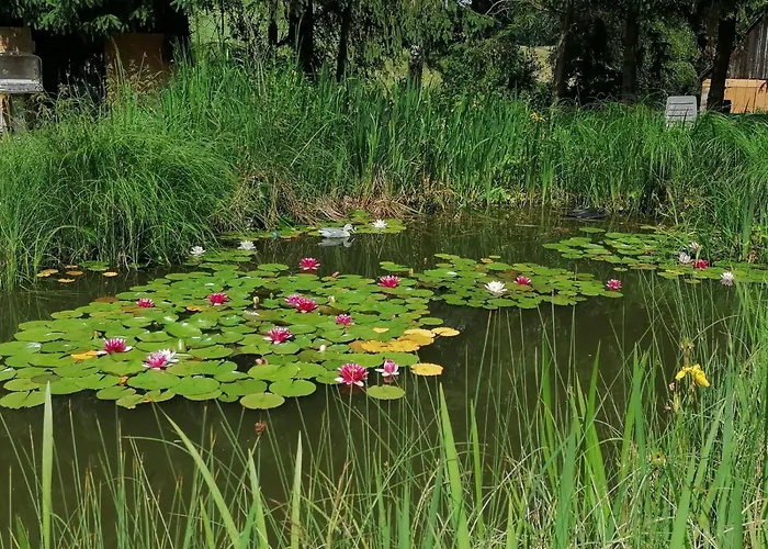 شقة Froschkoenig Mit Teichblick *