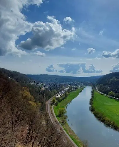 Froschkoenig Mit Teichblick