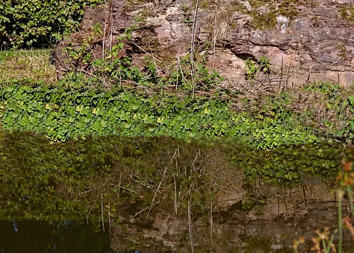 Froschkoenig Mit Teichblick شقة *