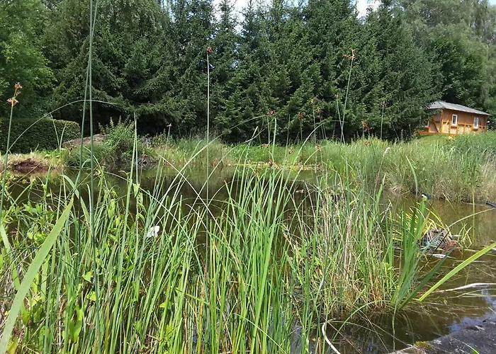 Froschkoenig Mit Teichblick *