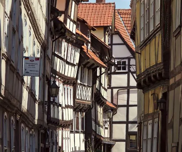 Froschkoenig Mit Teichblick *